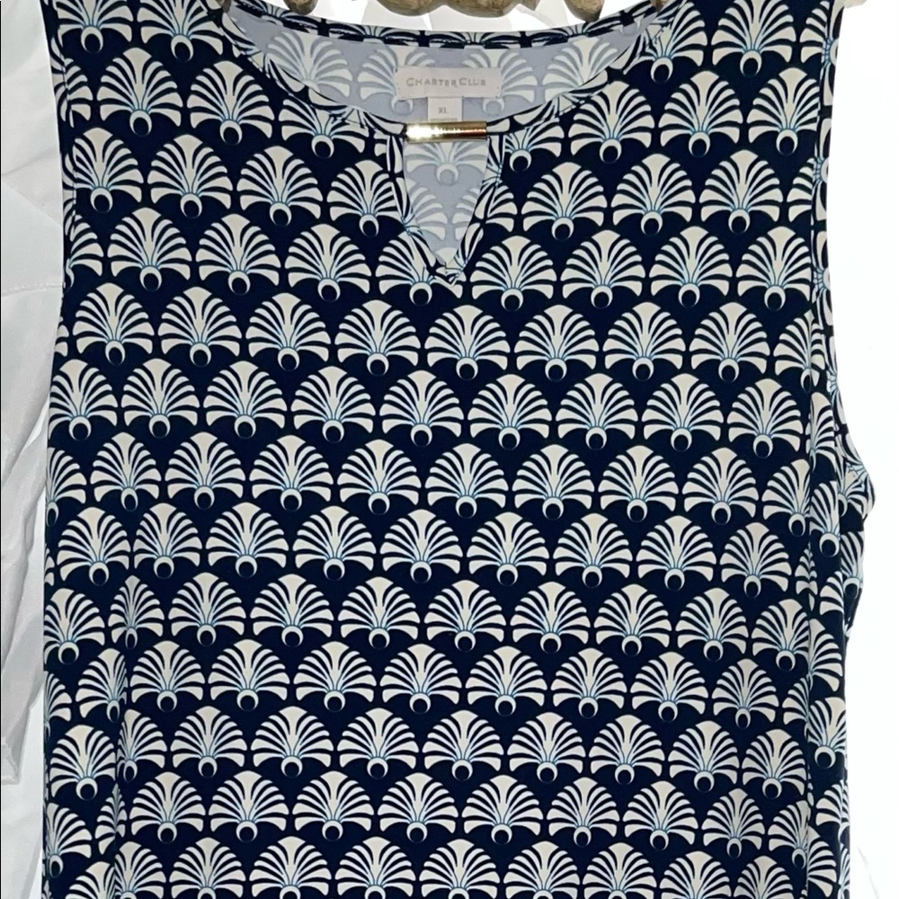 Womans Dress